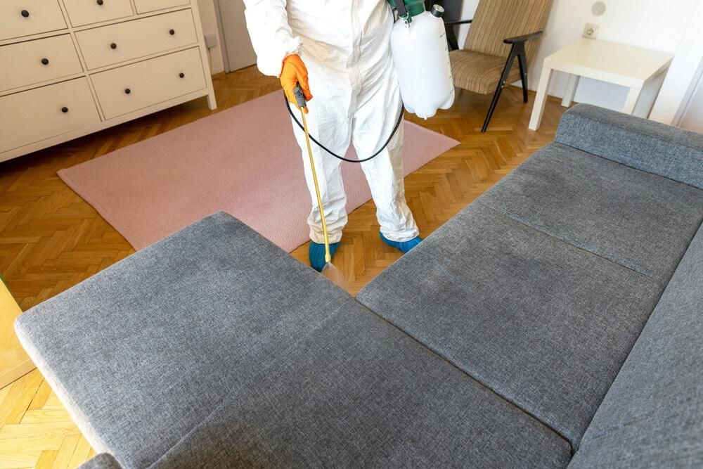 Man in a Protective Suit is Spraying a Couch in a Living Room — Boyne Carpet Cleaning in Iveragh, QLD