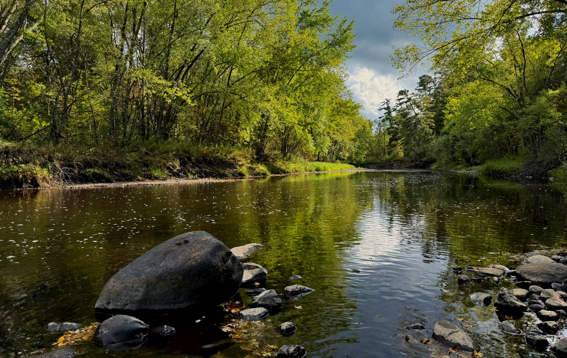 The front door of a house with a porch and plants in front of it.