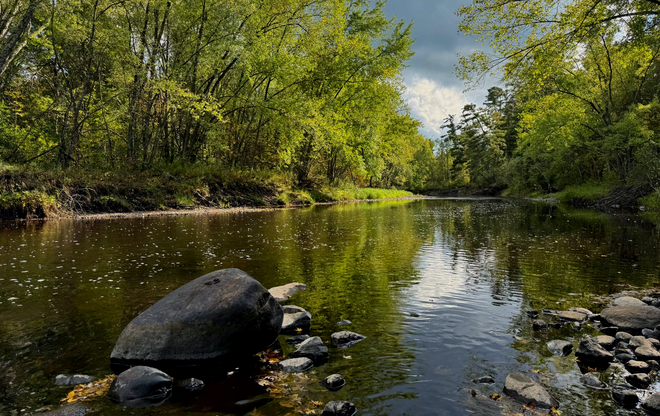 The front door of a house with a porch and plants in front of it.