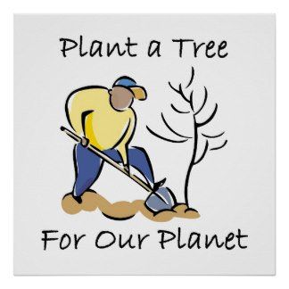 plant a tree