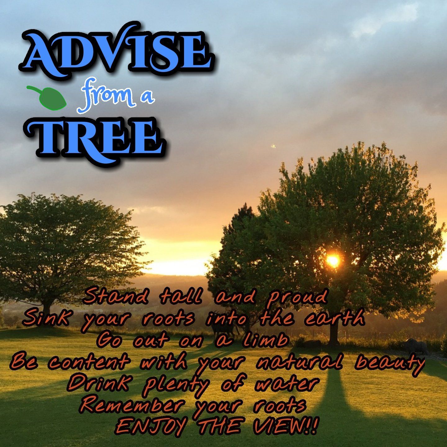 advise from a tree