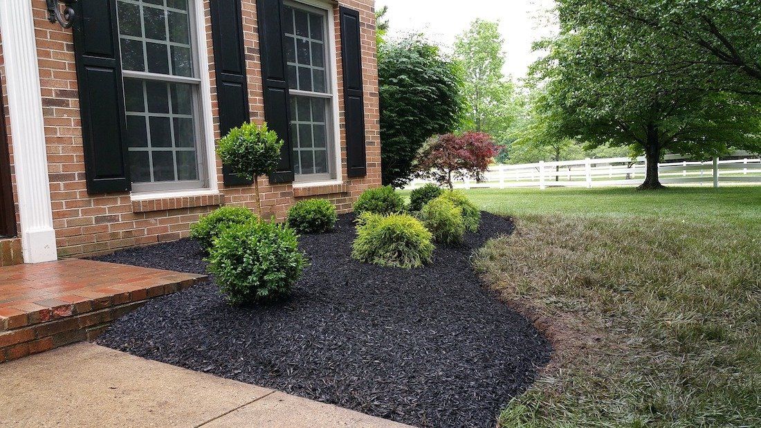 lawn care maintenance