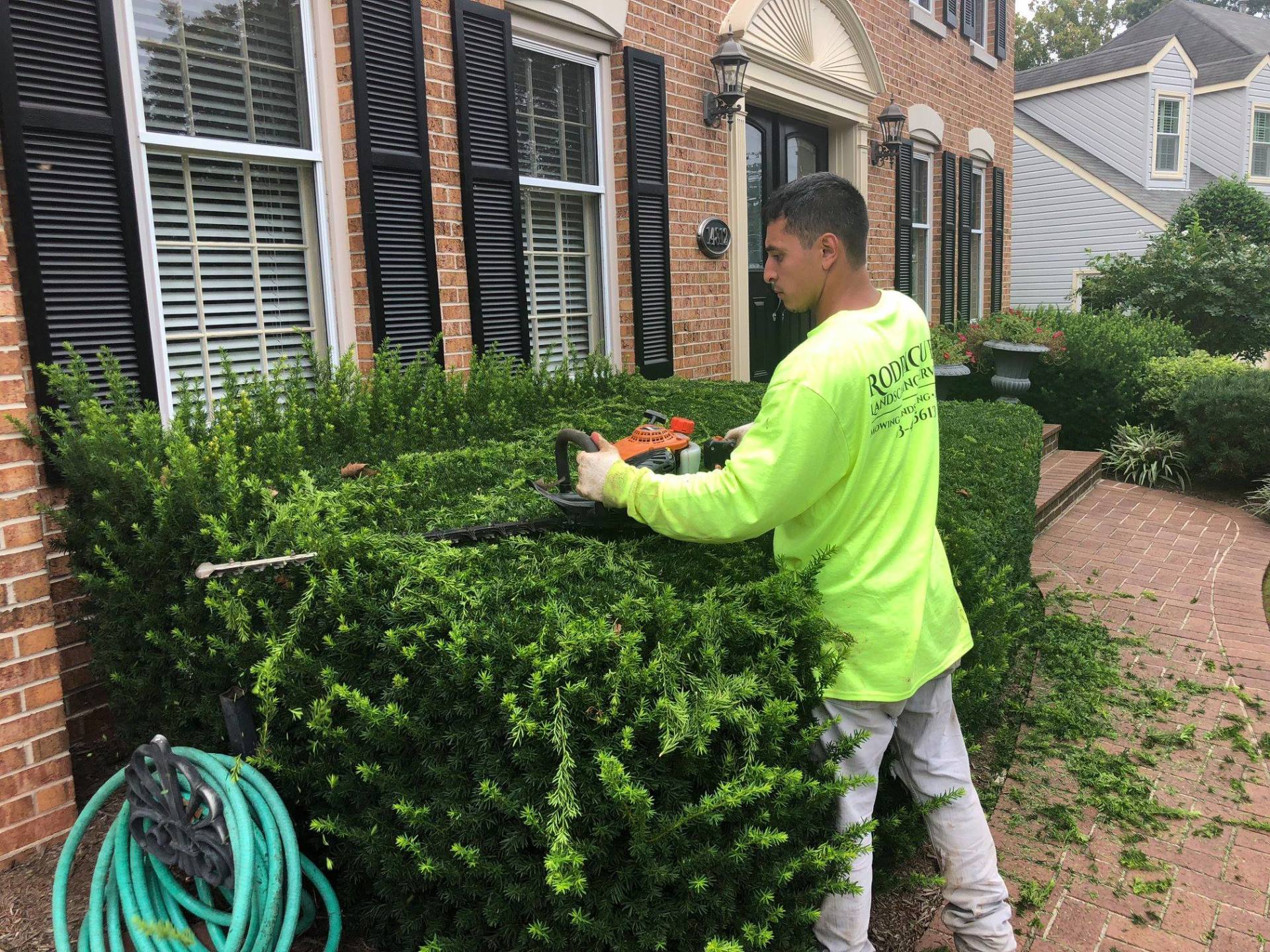 landscaping Maintenance