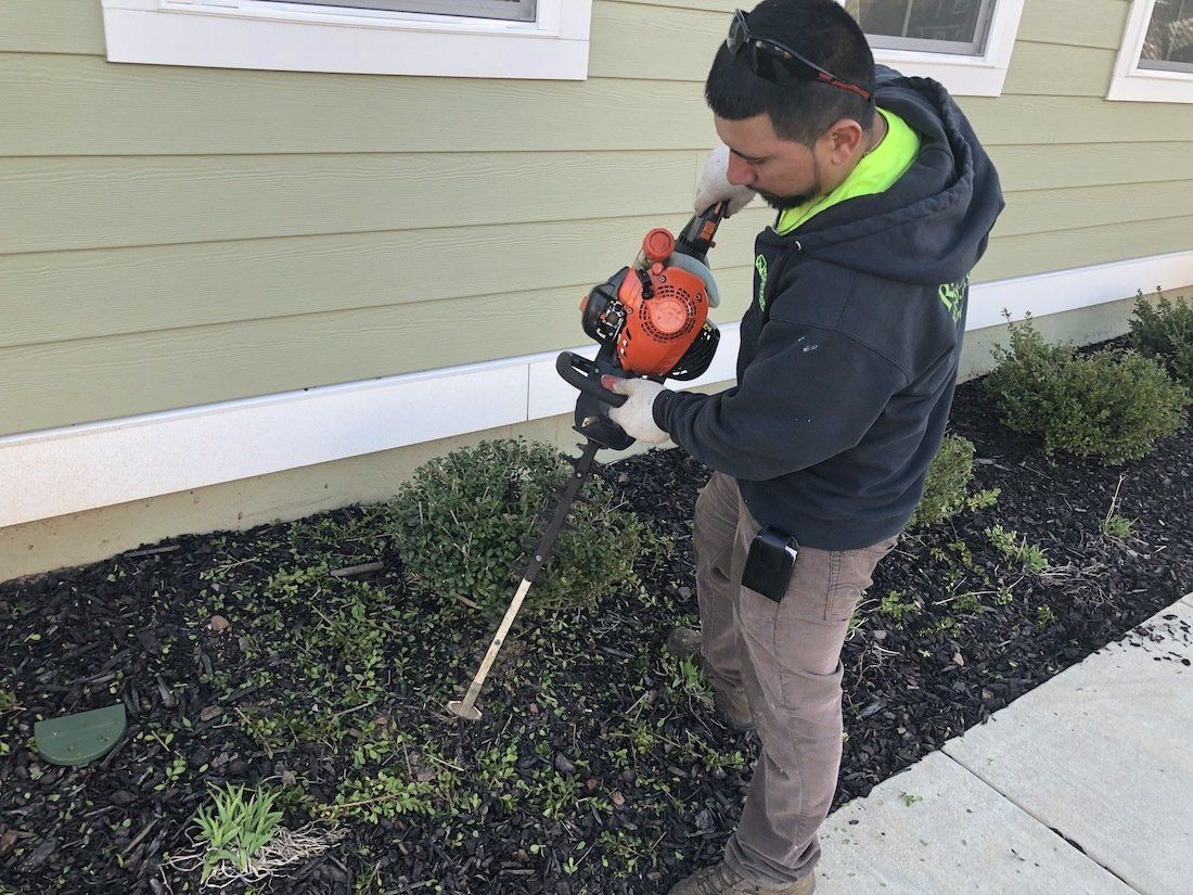 landscaping maintenance