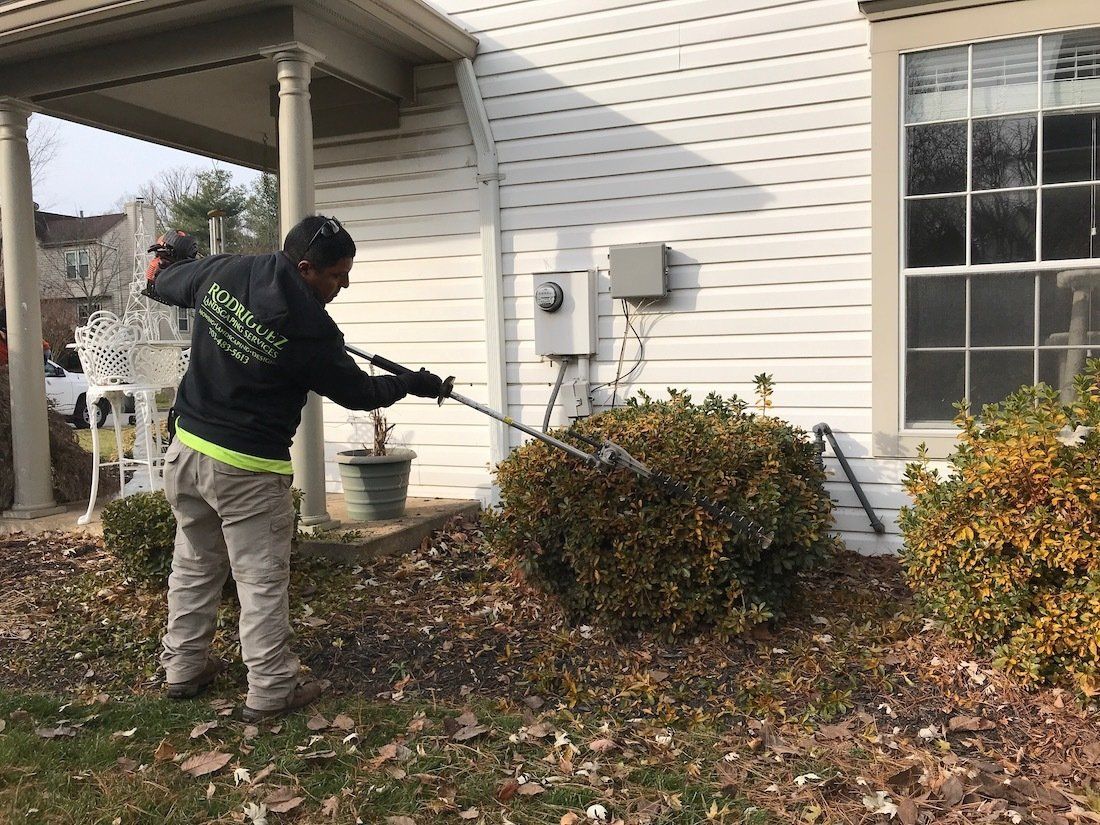 Landscaping Maintenance