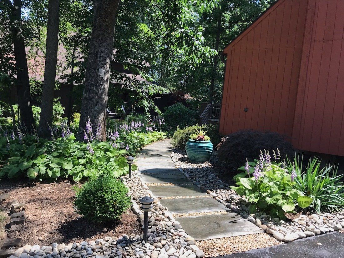 Backyard Landscaping