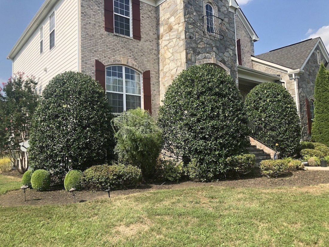 Residential Lawn Care