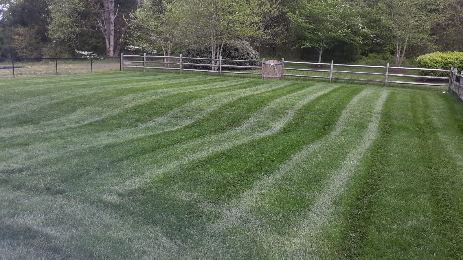 lawn Maintenance