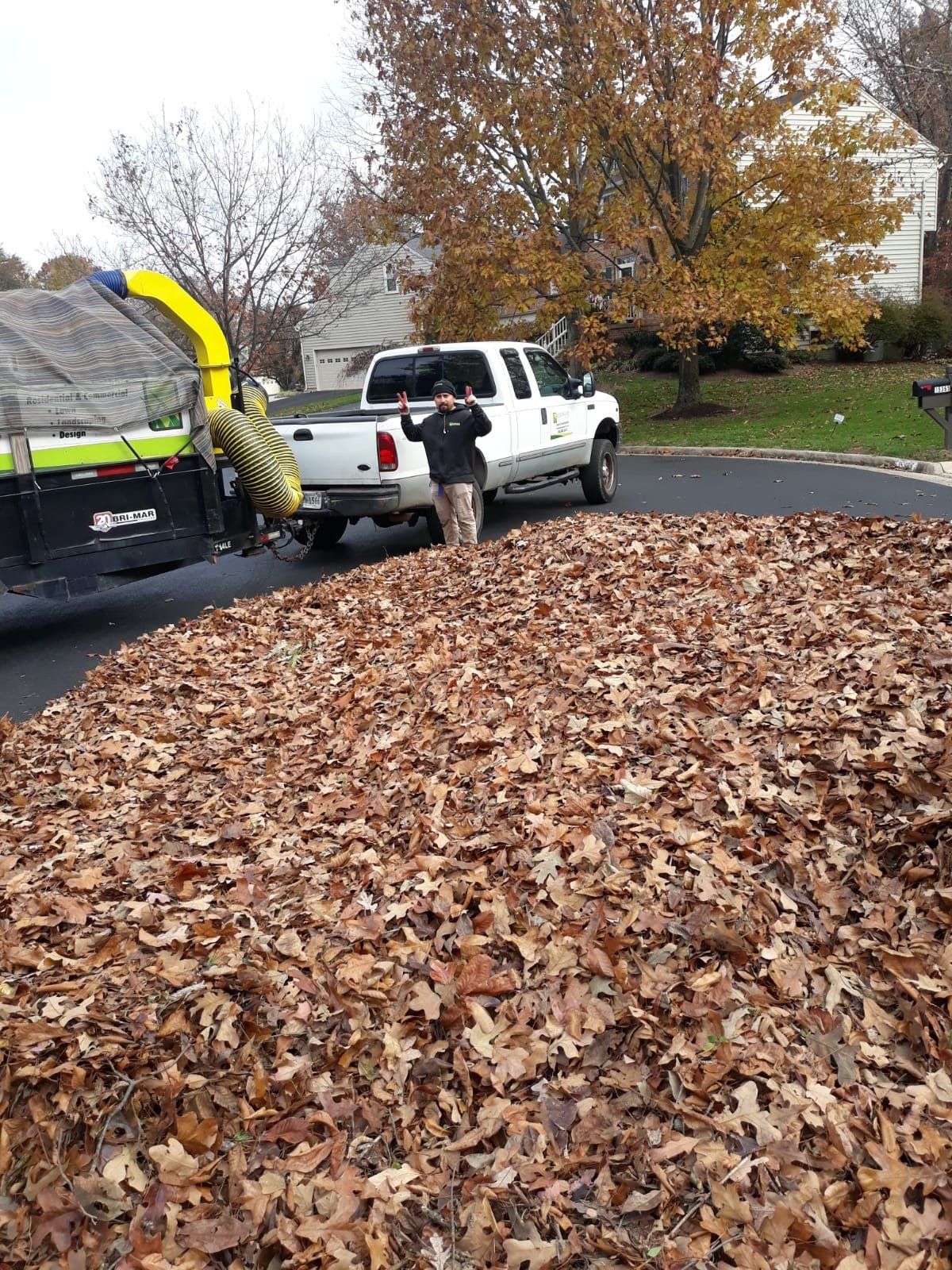 chantilly-leaf-removal-near-me-leaf-pick-up-leaf-cleanup