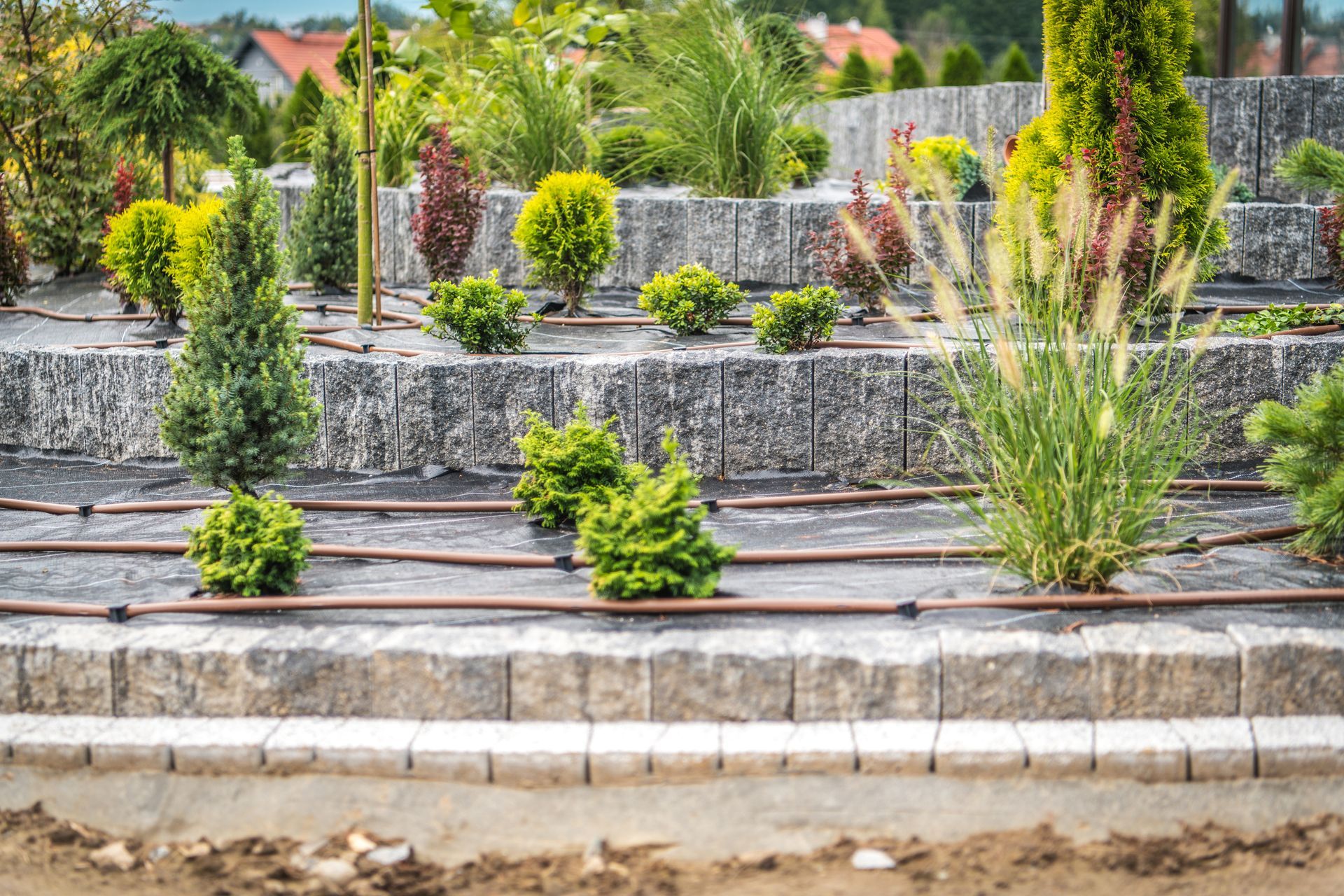 Multi-tiered garden bed with various plants and drip irrigation system.