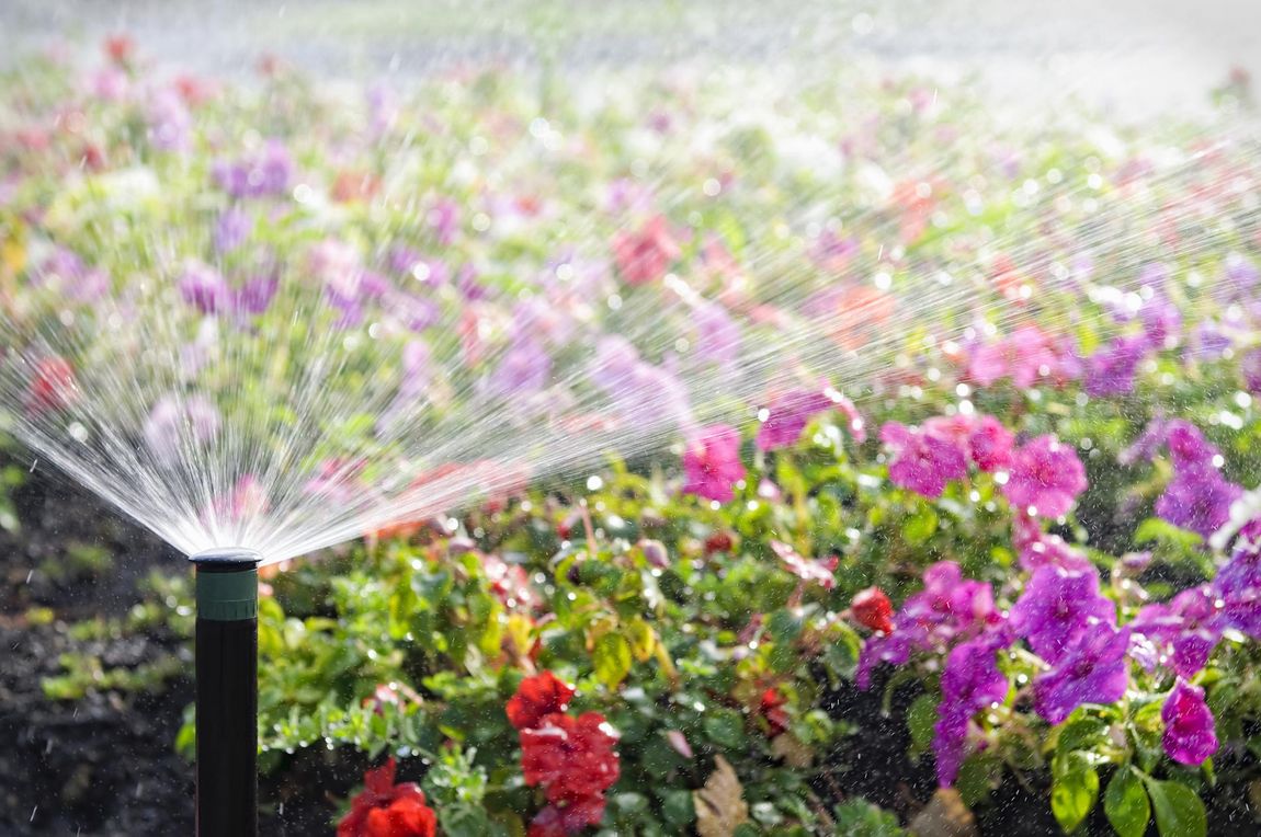 Sprinkler Watering — Decatur, IL — Keeping It Green Irrigation