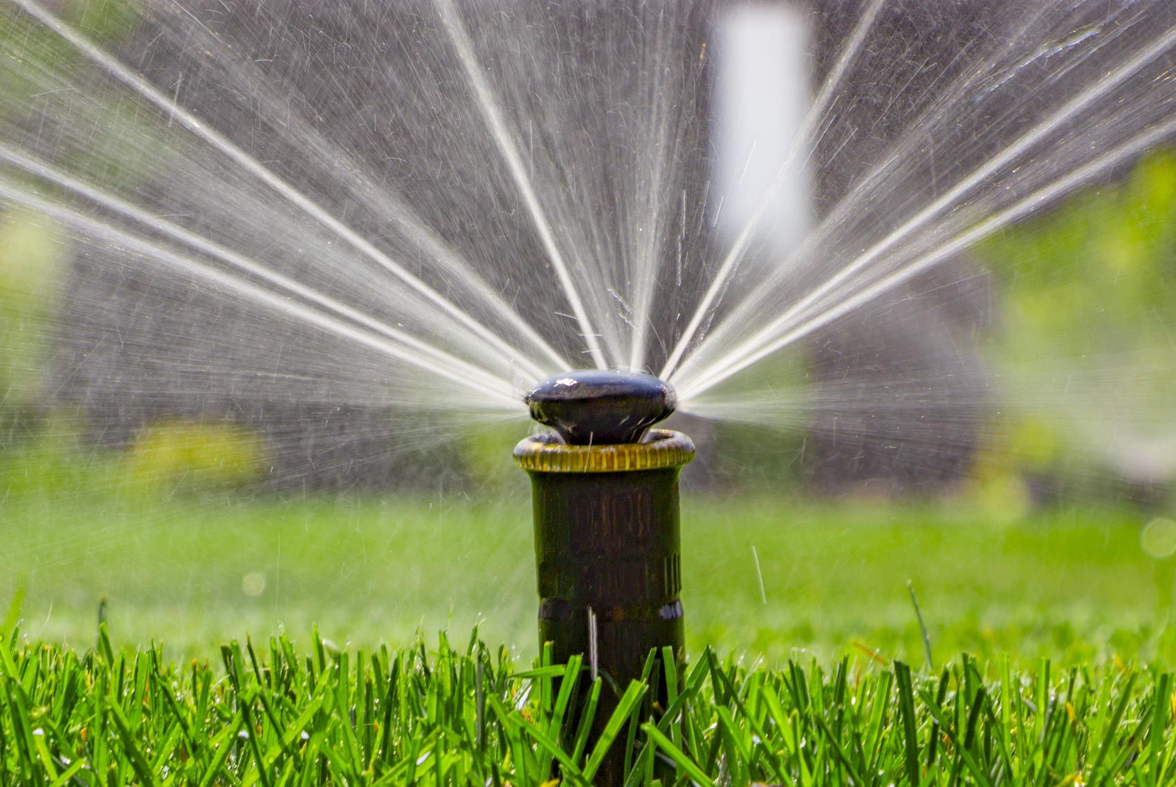 Sprinkler On Lawn — Decatur, IL — Keeping It Green Irrigation