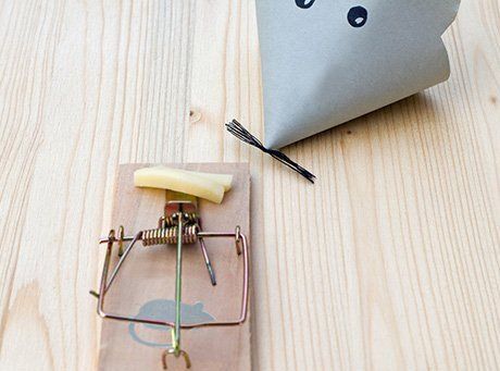 Rodent Control — Mouse Trap With Paper Shaped Mouse In Melbourne, Fl