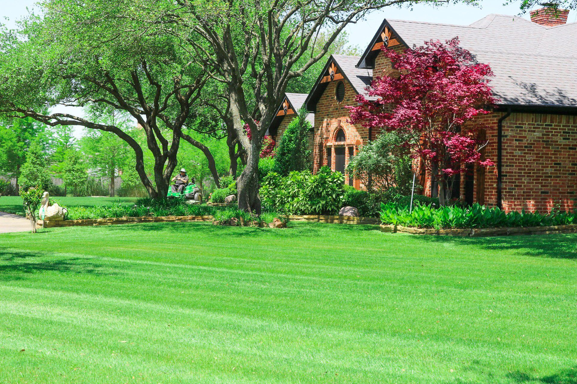 DFW Flores Tree Service llc gallery 9
