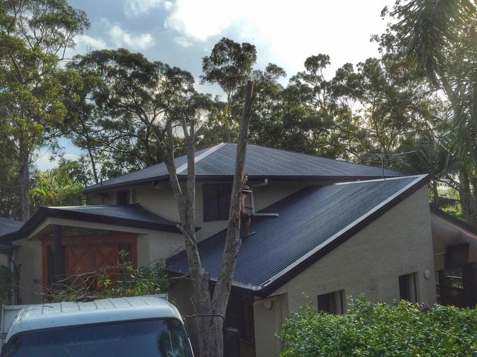 A House In the Middle of too Many Trees — Roofing in Newcastle, NSW