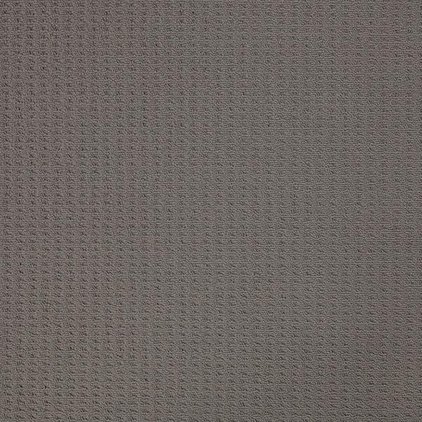 soft metallic lassen peak carpet color
