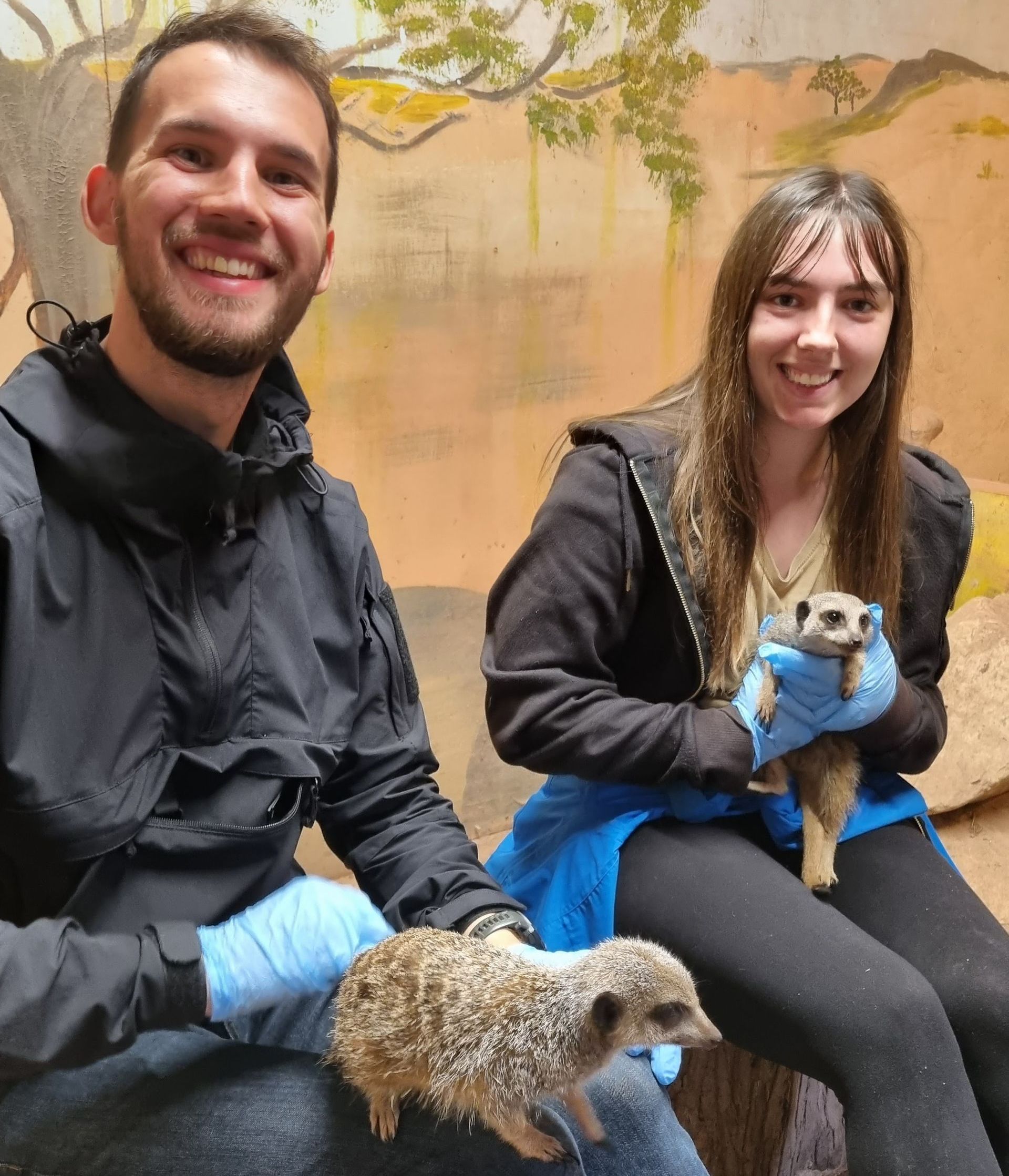 Holiday in a VW California Ocean with Breeze Campers. 
