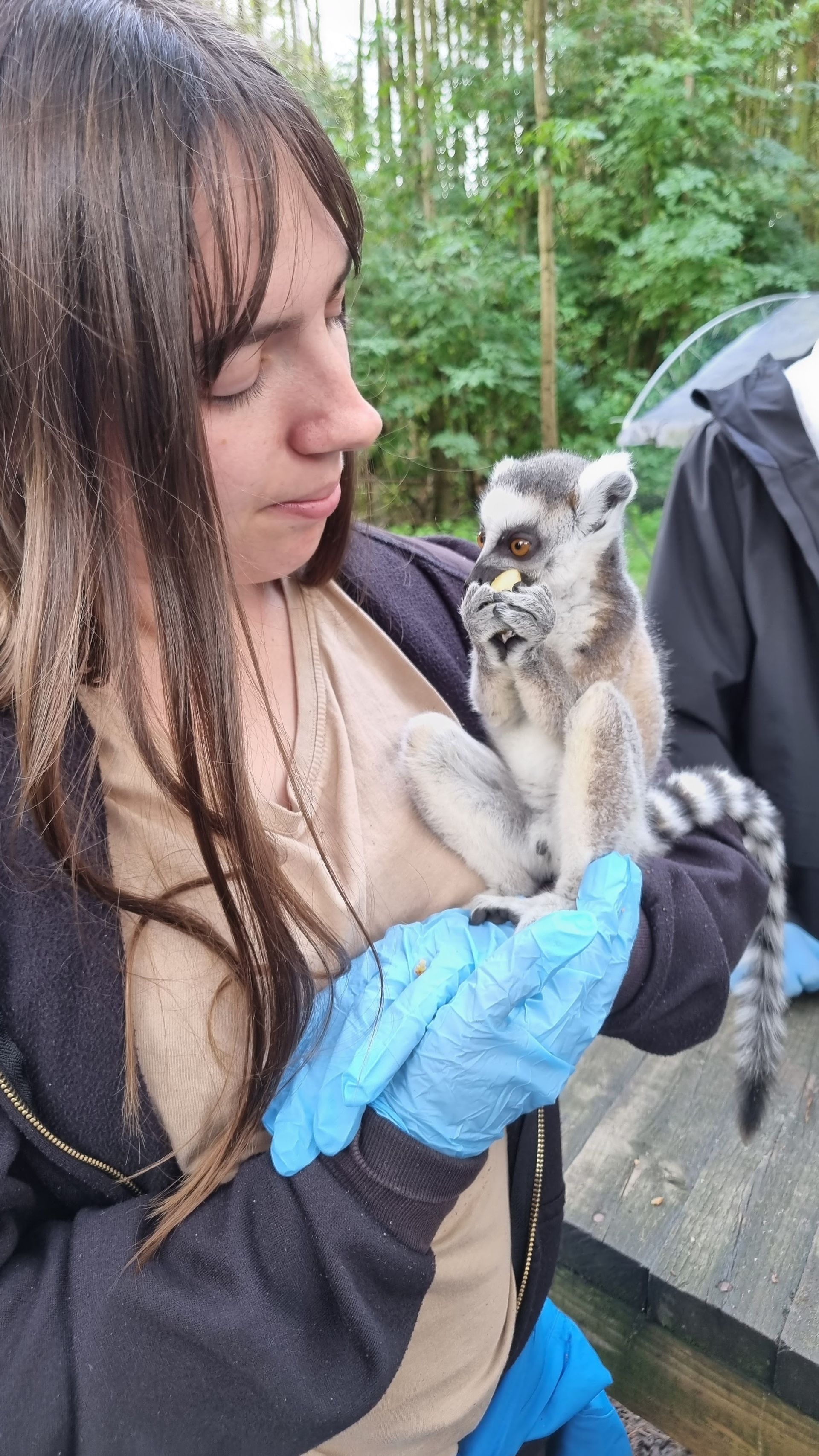 Holiday in a VW California Ocean with Breeze Campers. 