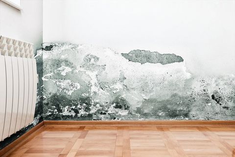 Wall rendering
