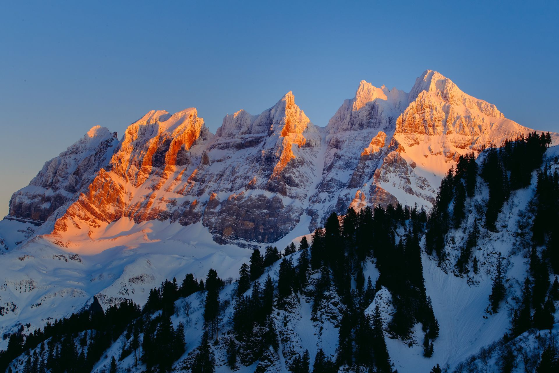 A brown building with