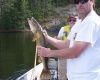 Man in white shirt holding a large fish on a dock by the water