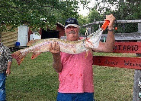 Man holding a large fish outdoors beside a wooden sign and trees