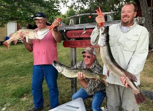 Three people posing outdoors with large fish, making peace signs and smiling.