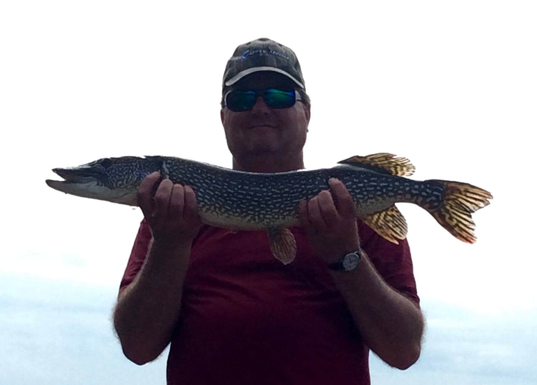 Person holding a large fish outdoors against a bright sky