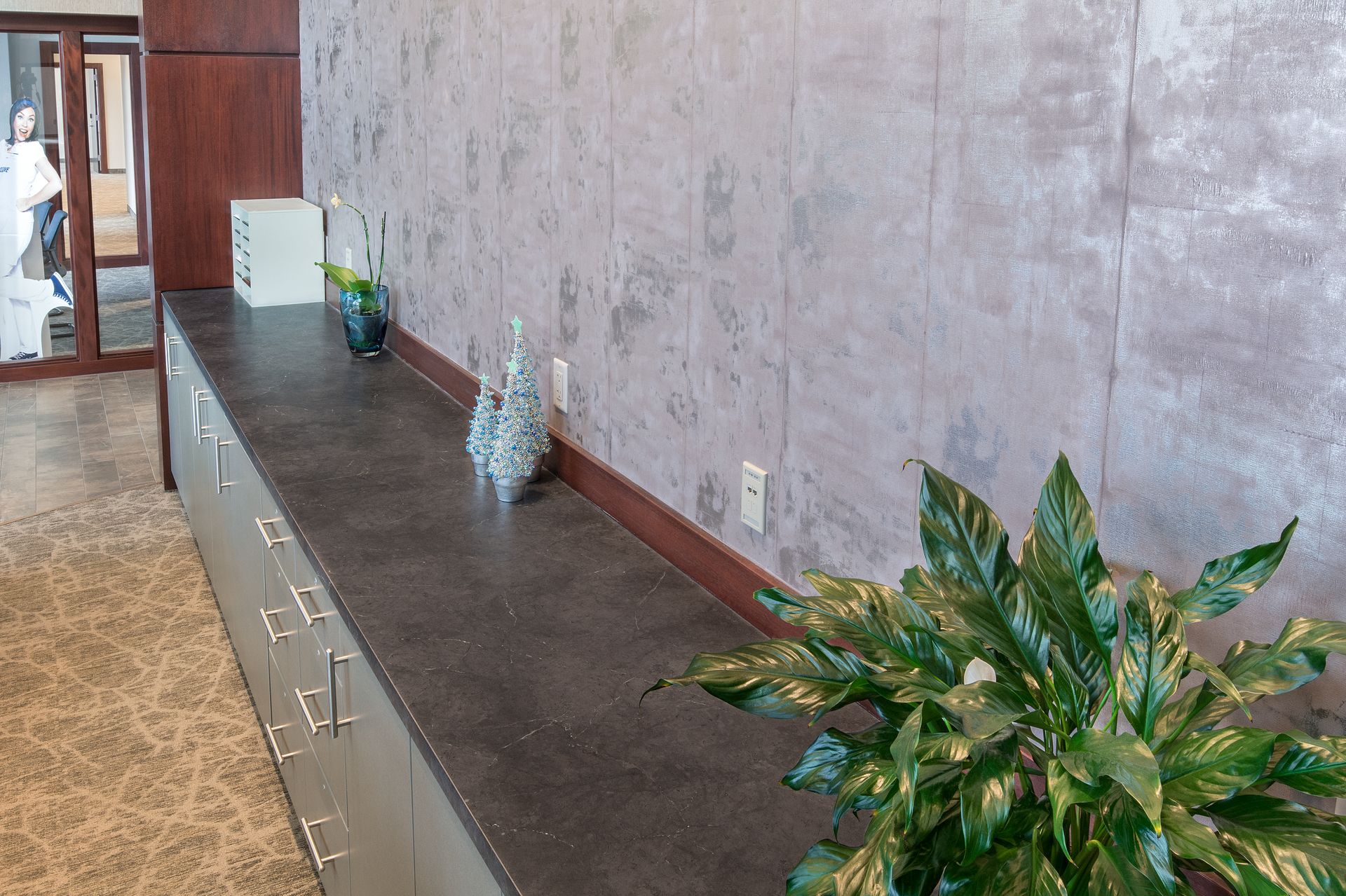 A plant is sitting on a counter in a room.