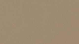 A close up of a beige background with a plain texture.