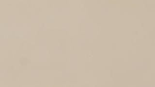 A close up of a beige background with a plain texture.