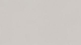 A close up of a white background with a plain texture.