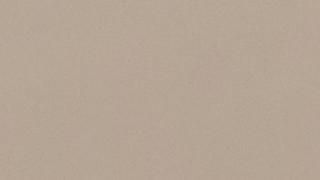 A close up of a beige background with a plain texture.