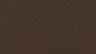 A close up of a brown leather texture.