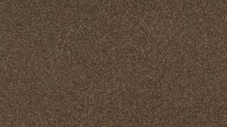 A close up of a brown carpet texture.