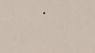 A black dot is floating in the air on a white surface.