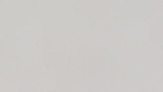 A close up of a white background with a plain texture.