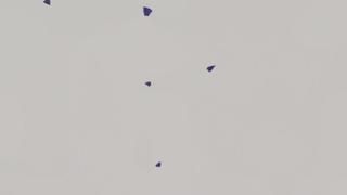 A flock of birds are flying in the sky.