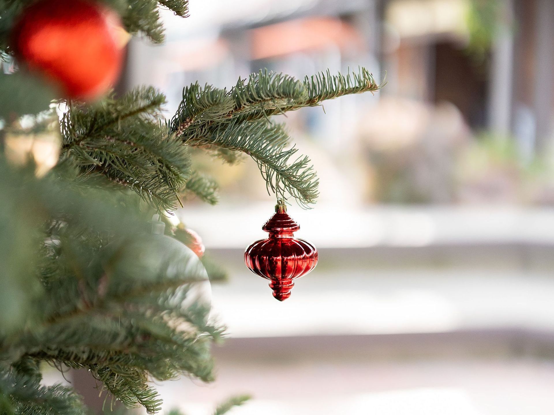 a close up of a christmas tree with red ornaments