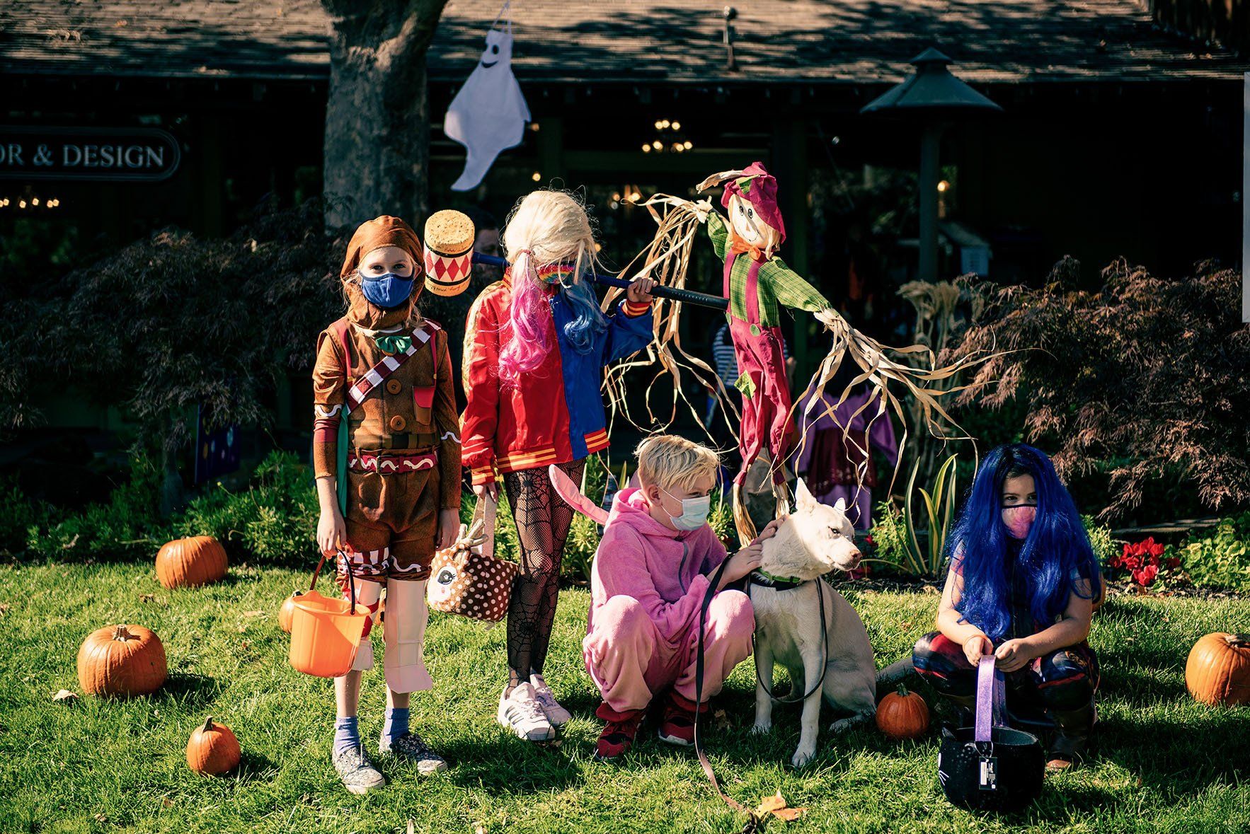 A group of children in halloween costumes are posing for a picture with a dog.