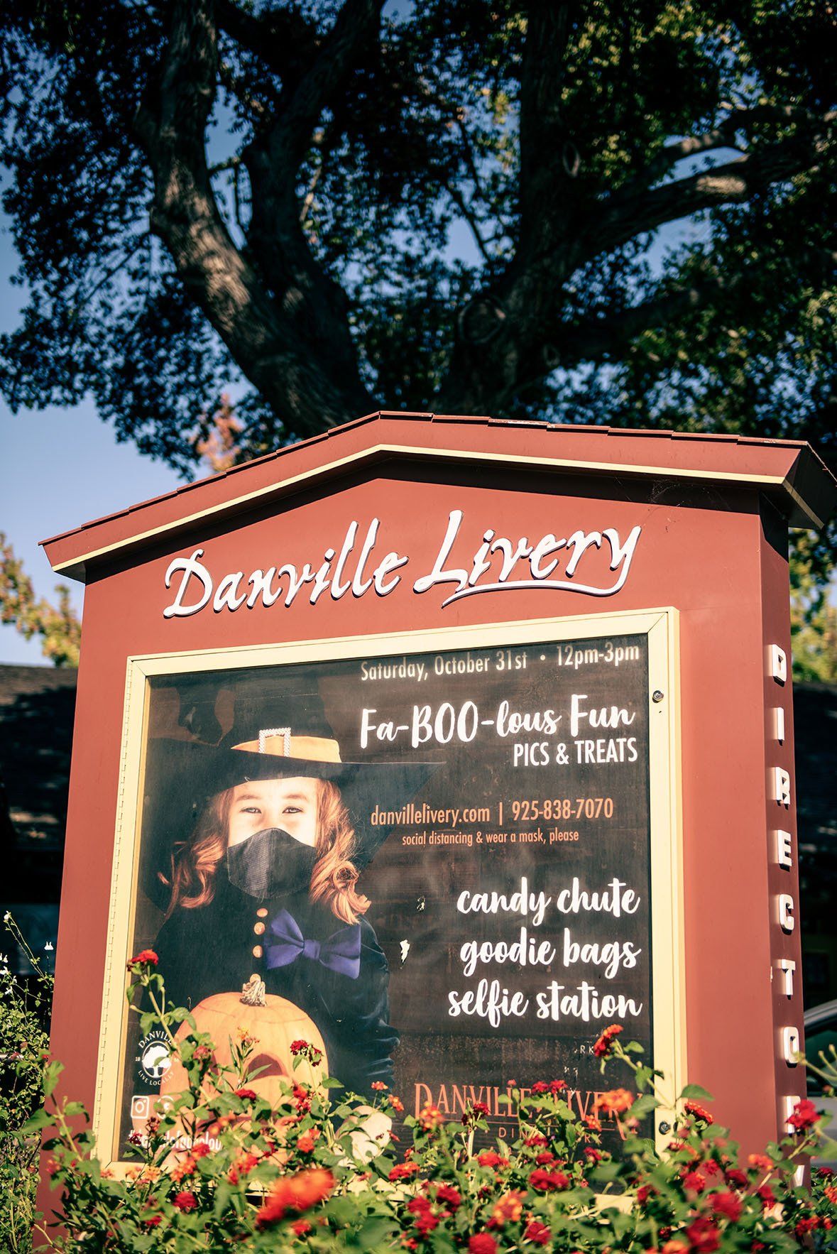 A sign for danville library is surrounded by flowers and trees.