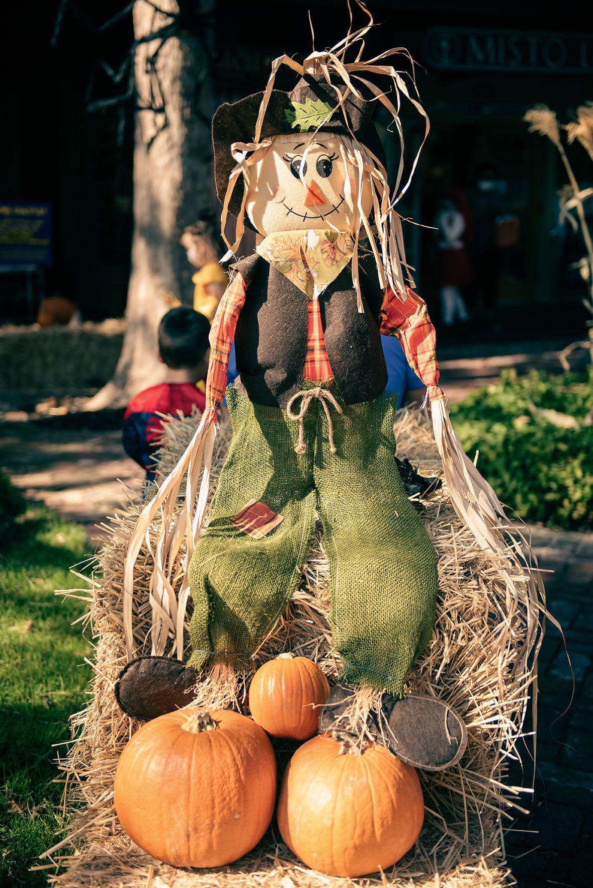 A scarecrow is sitting on a bale of hay surrounded by pumpkins.