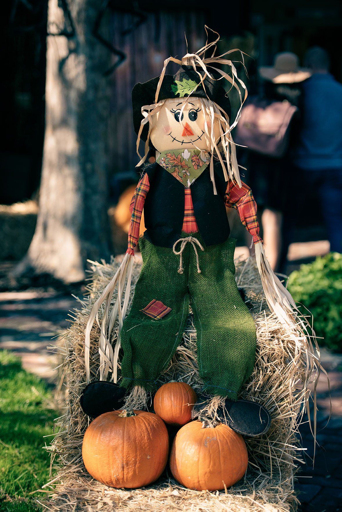 A scarecrow is sitting on a bale of hay with pumpkins.