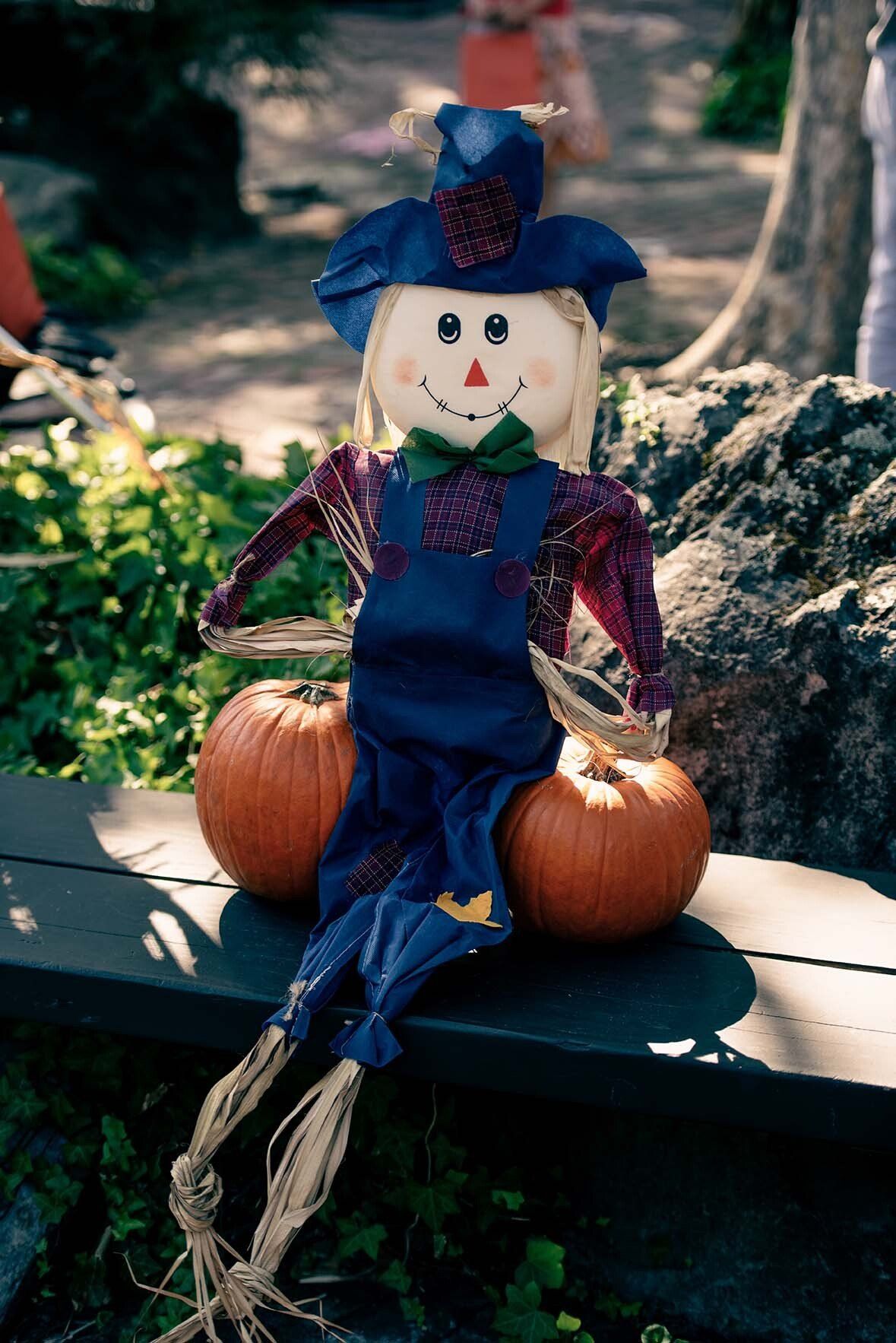 A scarecrow is sitting on a bench next to two pumpkins.