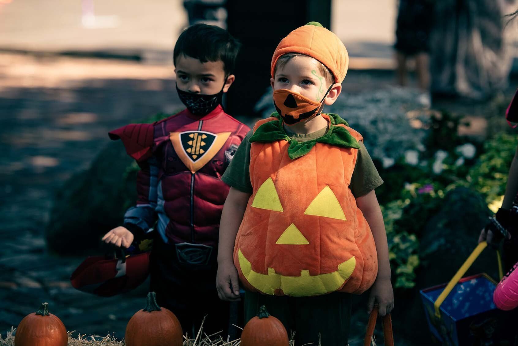 Two young boys dressed in halloween costumes are standing next to pumpkins.