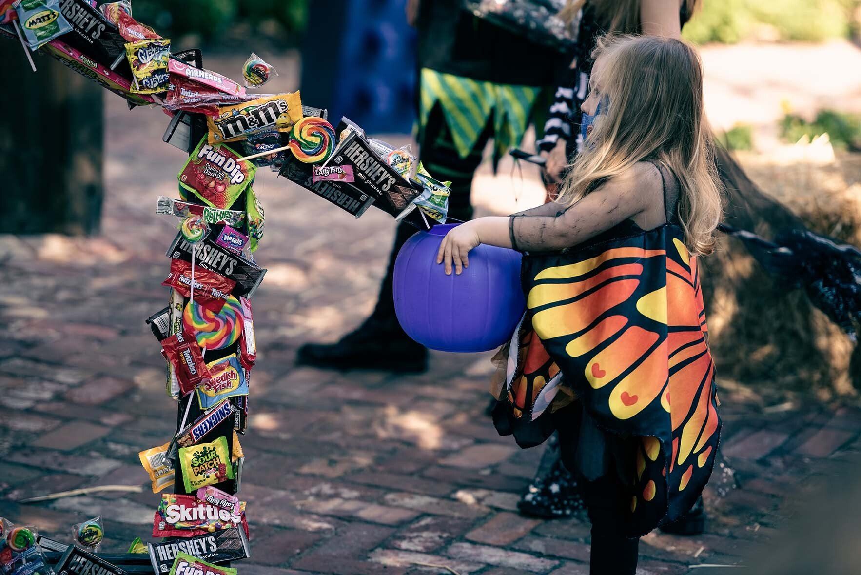 A little girl in a butterfly costume is holding a purple balloon.