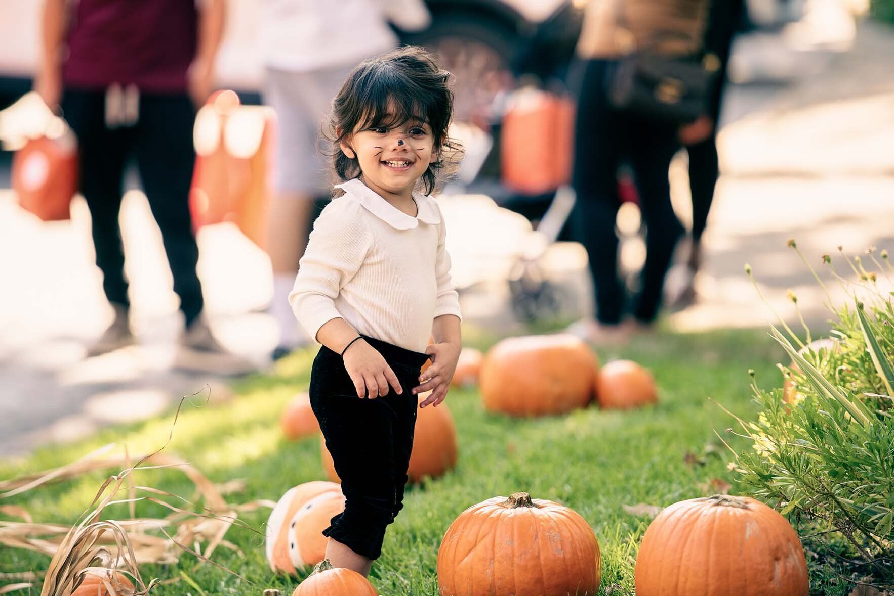 A little girl is standing in a field of pumpkins.