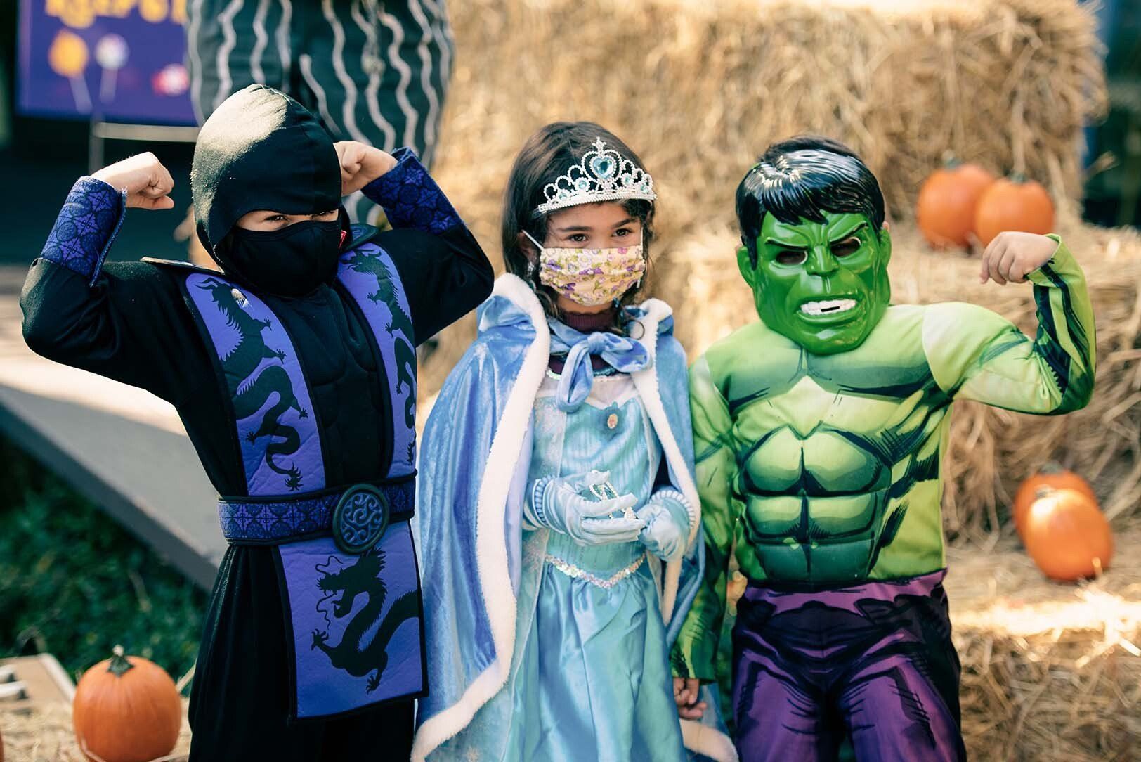 Three children in halloween costumes are posing for a picture.