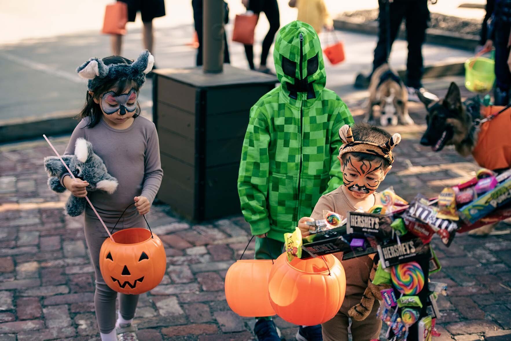 A group of children are trick or treating on a brick sidewalk.