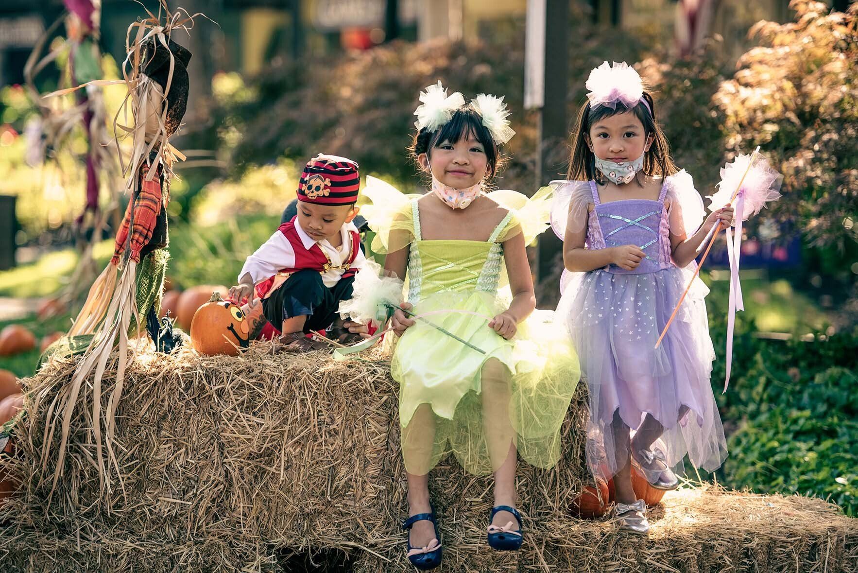 Three little girls in halloween costumes are sitting on a bale of hay.